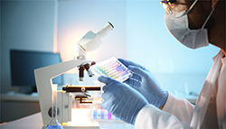 山东省户籍DNA鉴定费用多少钱啊（快速预约办理）