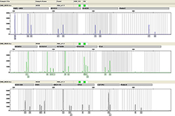 山东如何选择正规的亲子鉴定机构，山东正规的亲子鉴定办理费用
