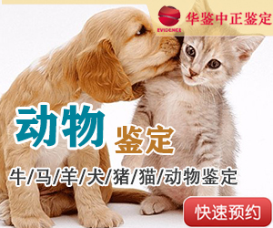 山东动物鉴定