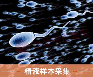 山东精液样本采样