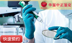 山东同一父系亲缘鉴定