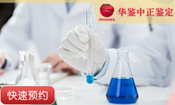 山东同一母系亲缘关系鉴定