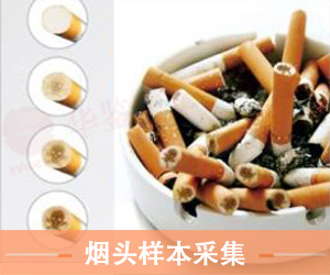 山东烟头样本采样